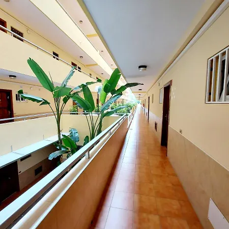 Sunny Cozy Loscristianos Wifi,pool Apartment Los Cristianos (Tenerife)